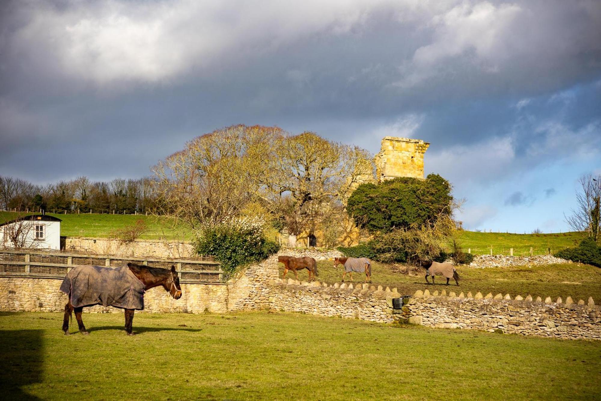 Yew Tree Cottage East Ayton Esterno foto